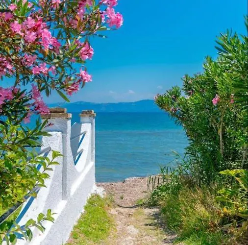 Evi - Family * Kávos